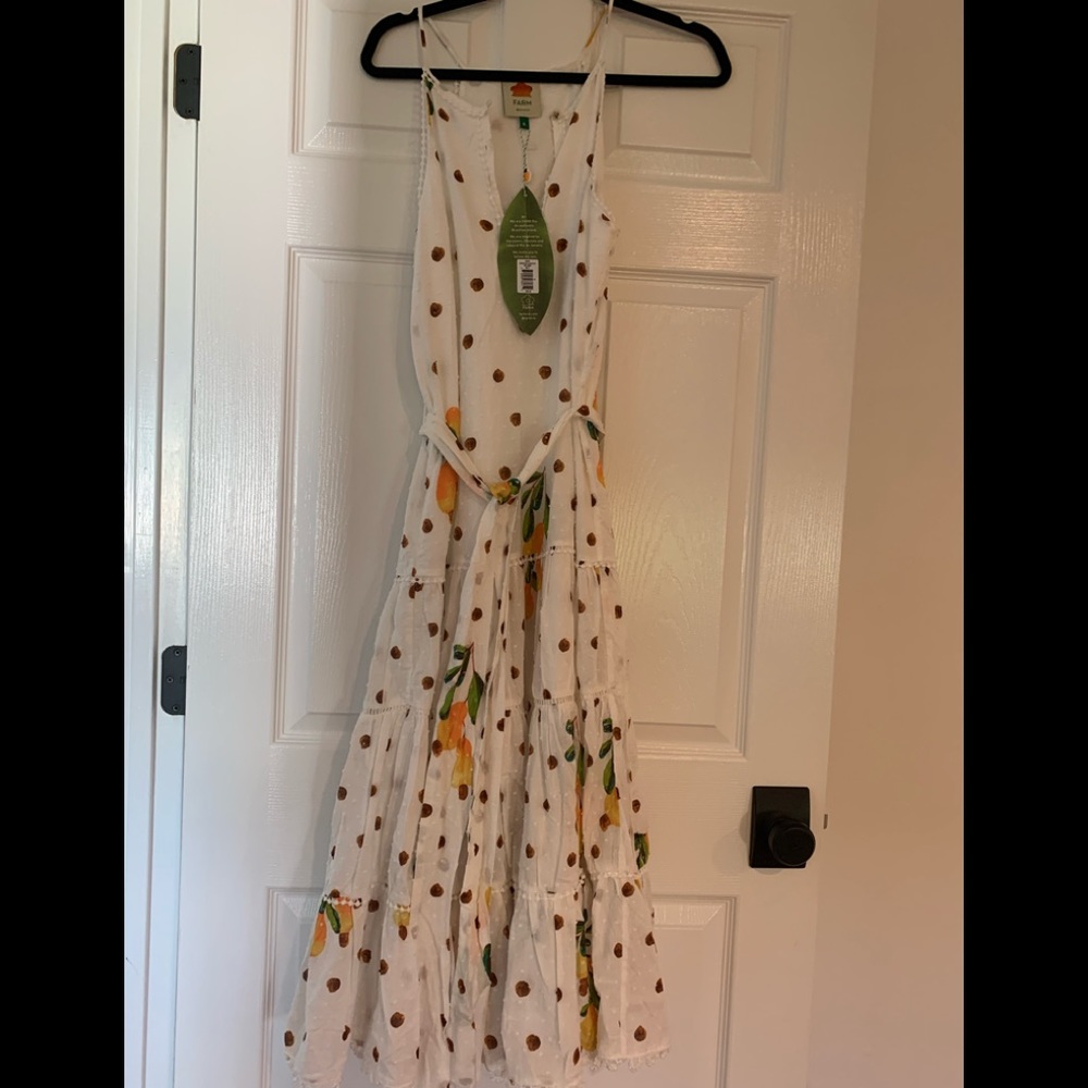 NWT Farm Rio cashew dot midi dress. - Picture 2 of 4
